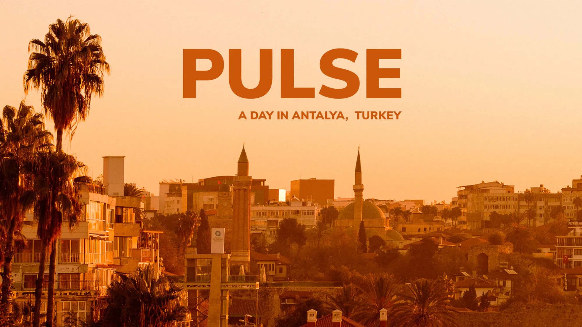 Film – Pulse