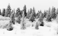 Six Months Across Canada 9