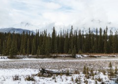 Six Months Across Canada 19