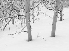 Six Months Across Canada 24
