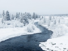 Six Months Across Canada 25