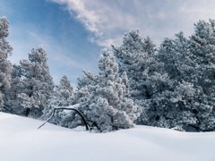 Six Months Across Canada 26