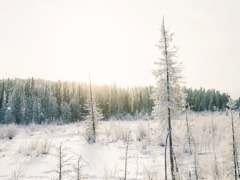 Six Months Across Canada 27