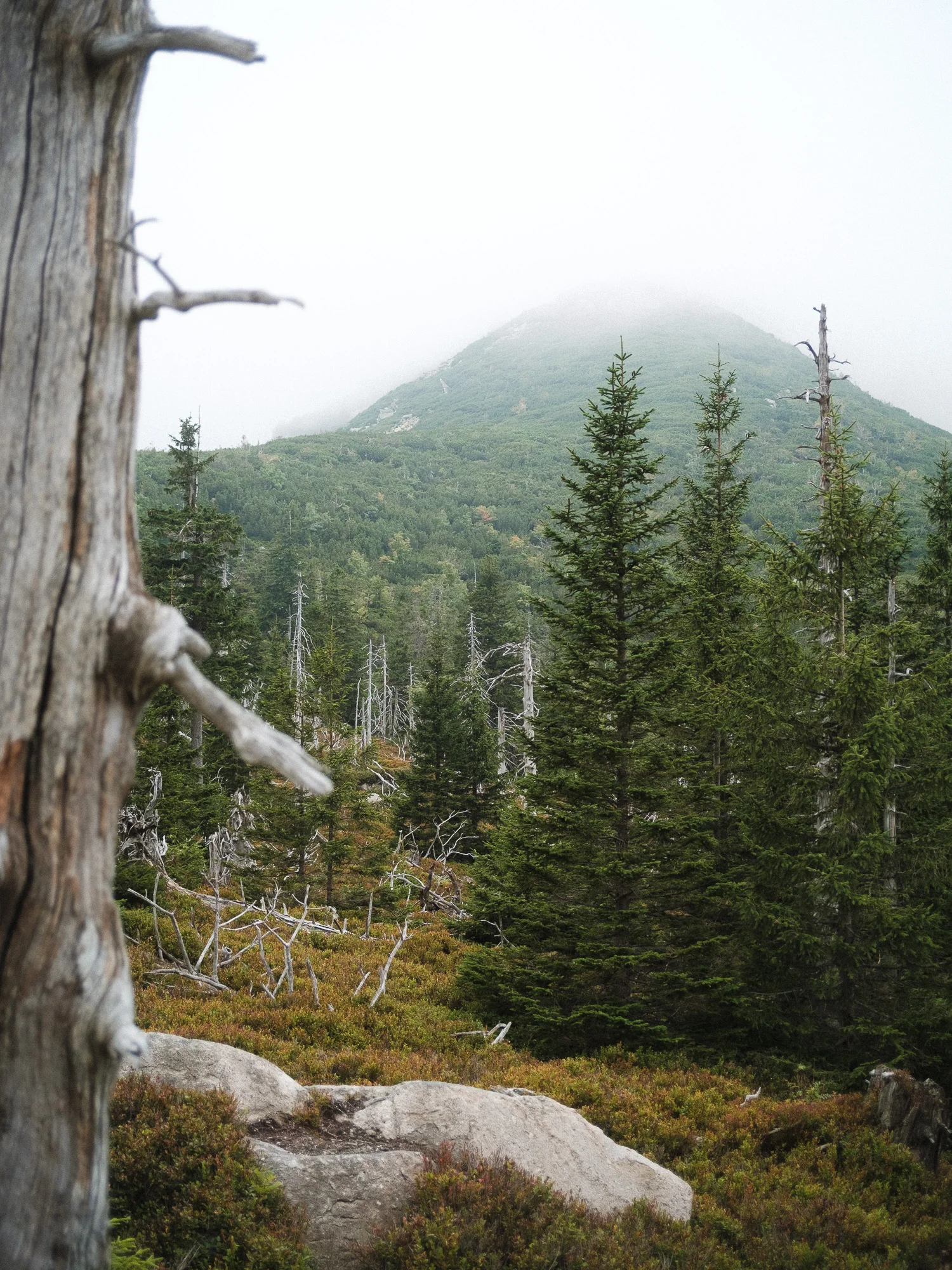 Das Riesengebirge, Tschechien