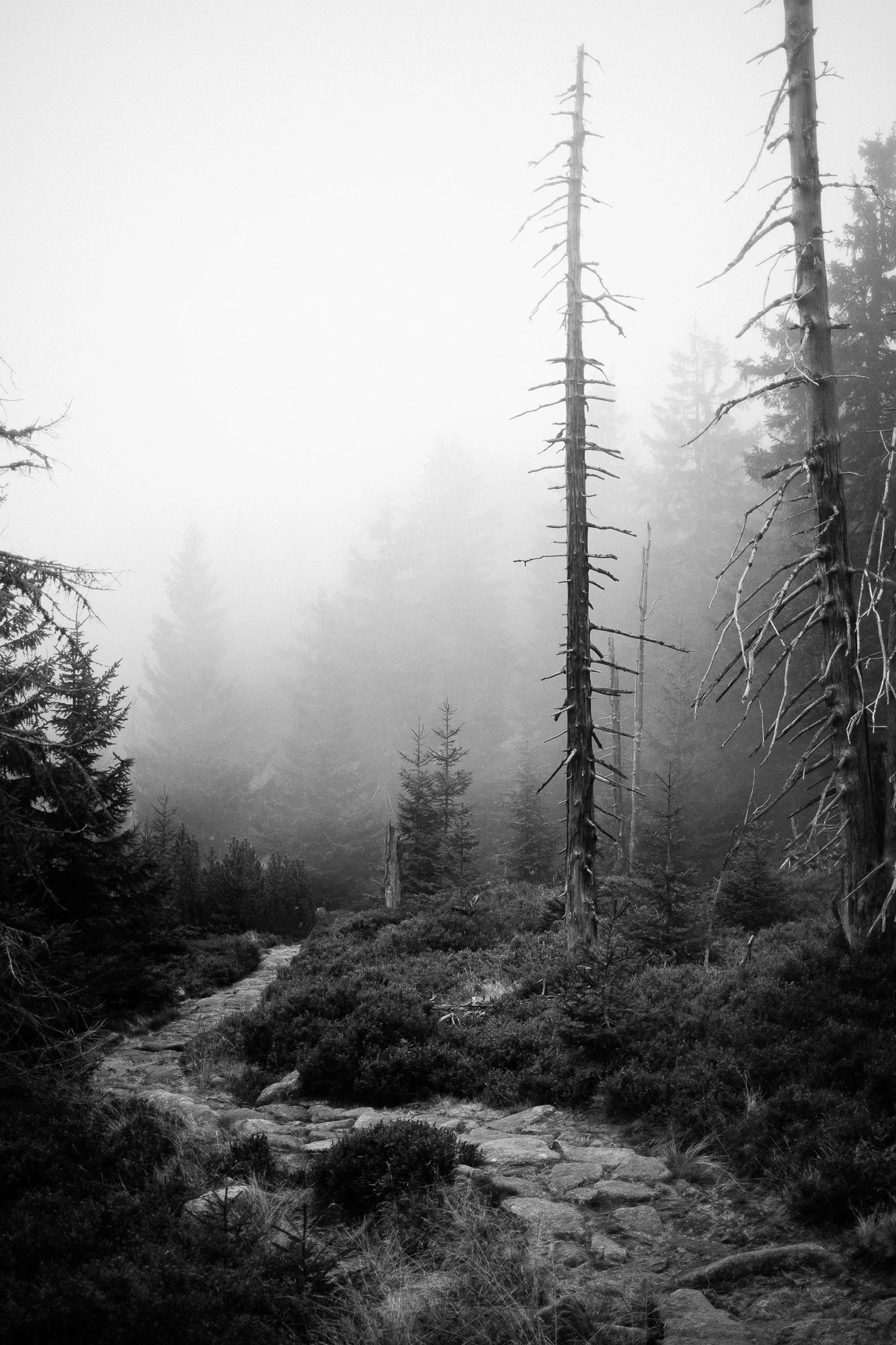 Das Riesengebirge, Tschechien