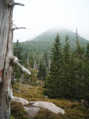 The Giant Mountains, Czechia 4