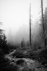 The Giant Mountains, Czechia 11