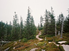 The Giant Mountains, Czechia 10