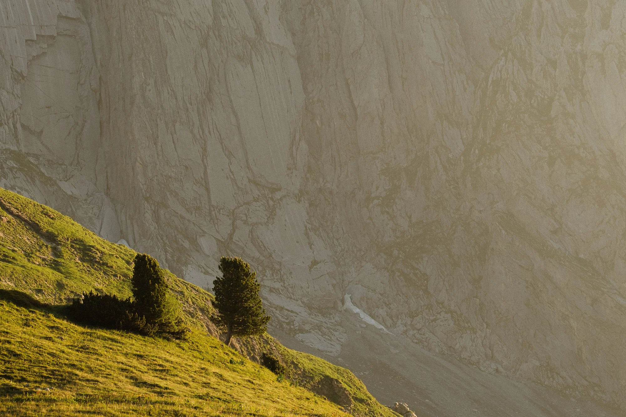 4 Tage in den Schweizer Alpen