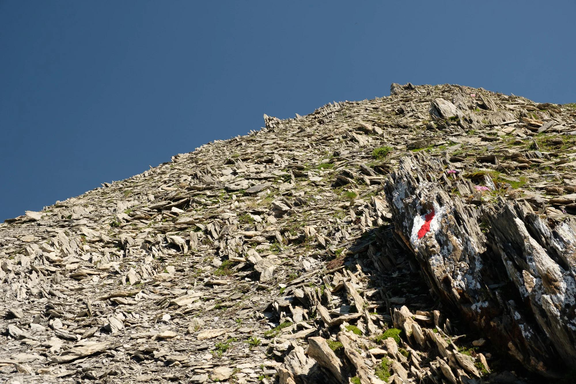4 Tage in den Schweizer Alpen
