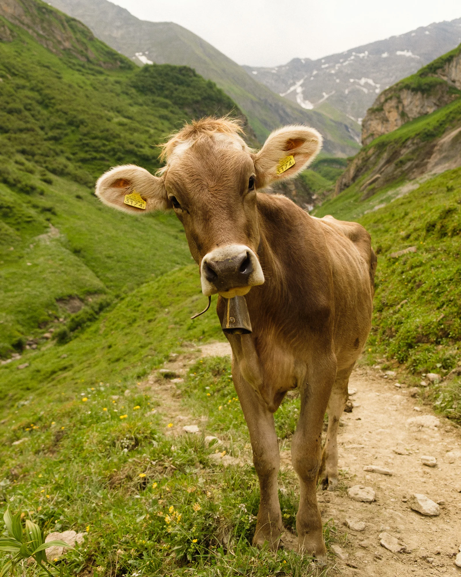 4 Tage in den Schweizer Alpen