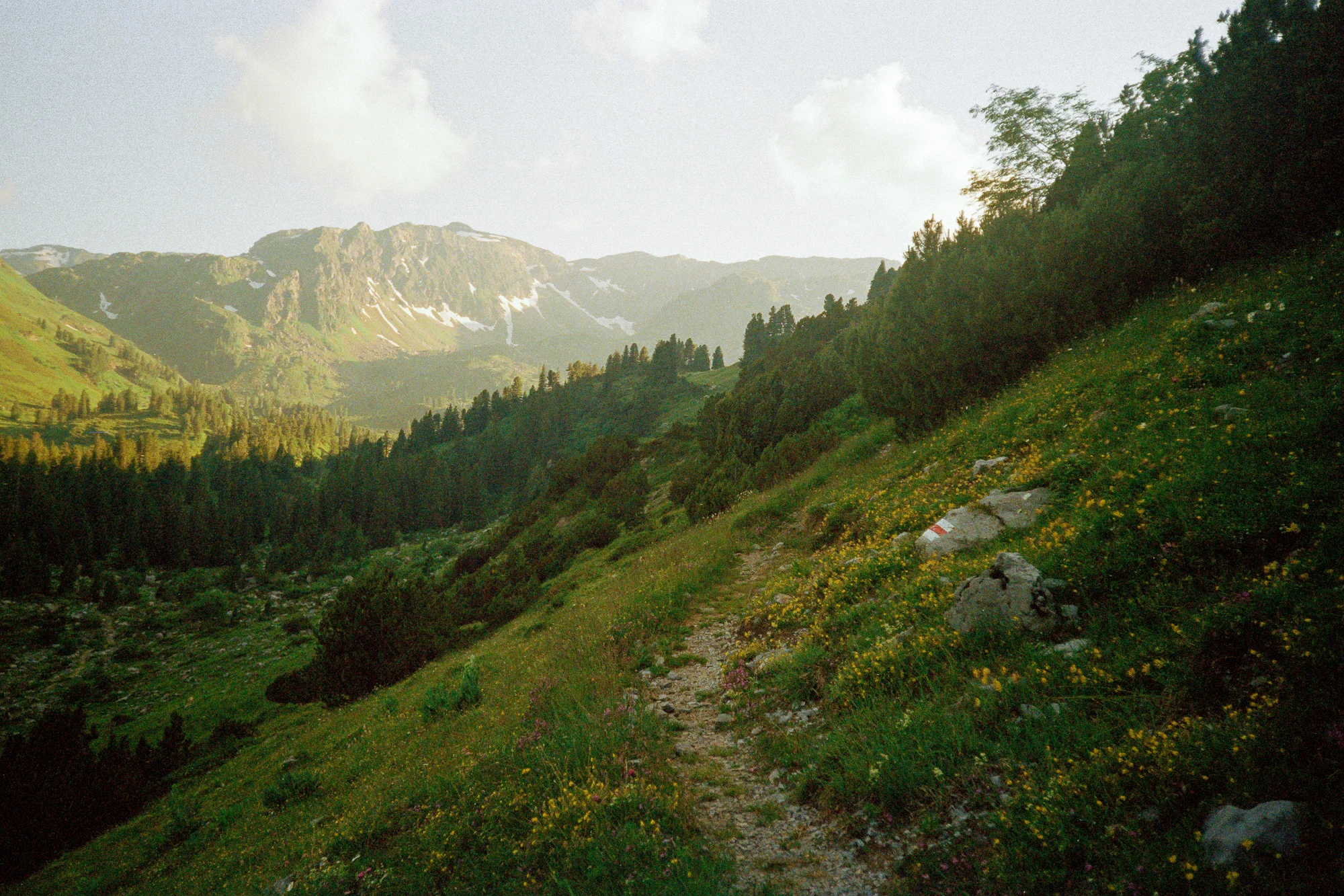 4 Tage in den Schweizer Alpen
