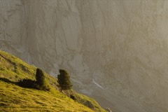 4 Days in the Swiss Alps 6