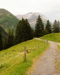 4 Days in the Swiss Alps 9