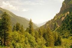4 Days in the Swiss Alps 13