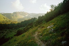 4 Days in the Swiss Alps 4