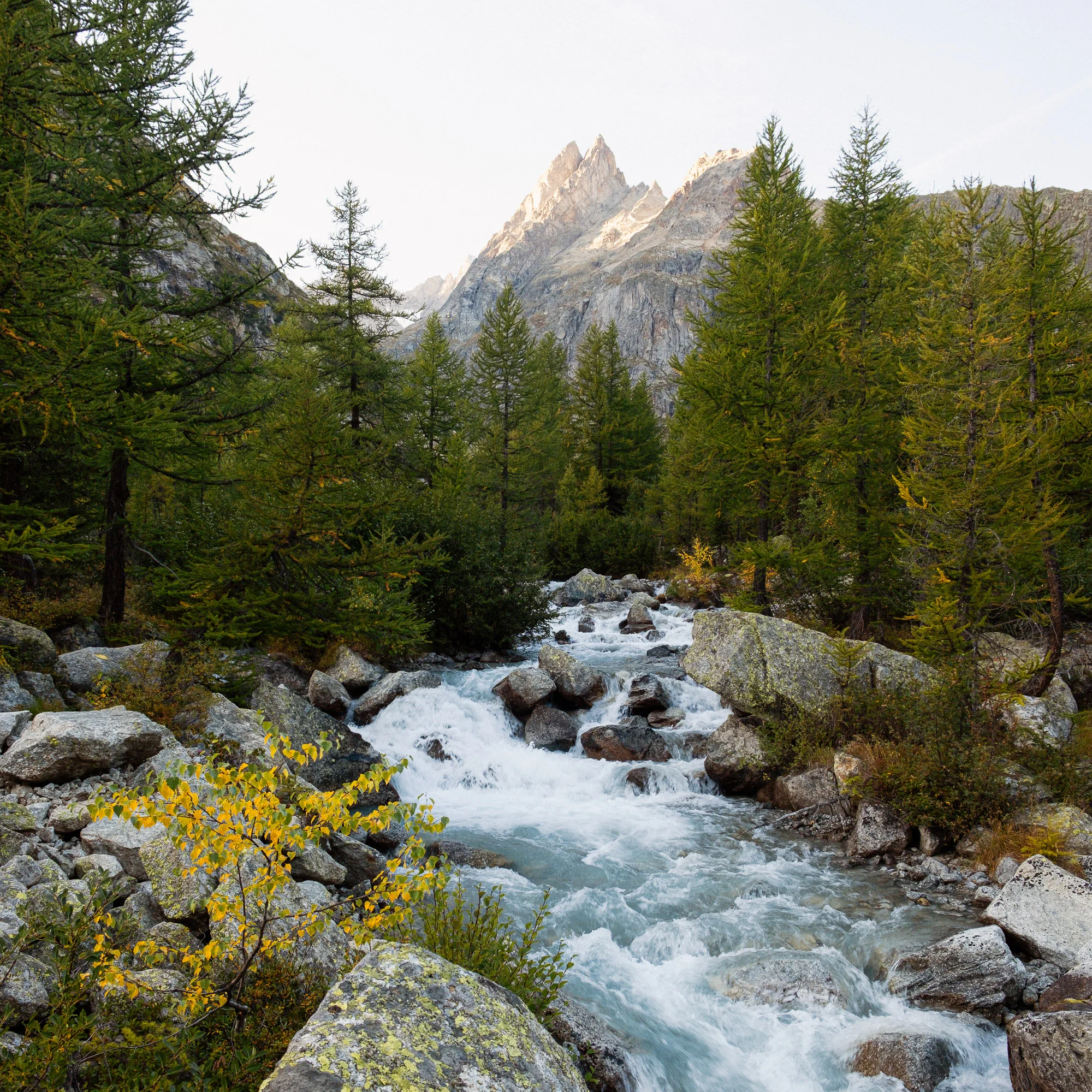 Tour du Mont Blanc