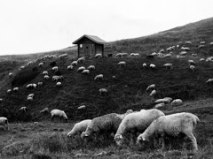 Tour du Mont Blanc 5