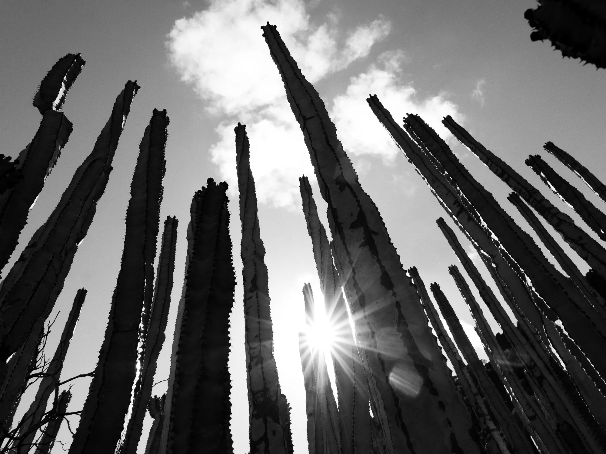 Gran Canaria, Spanien 5