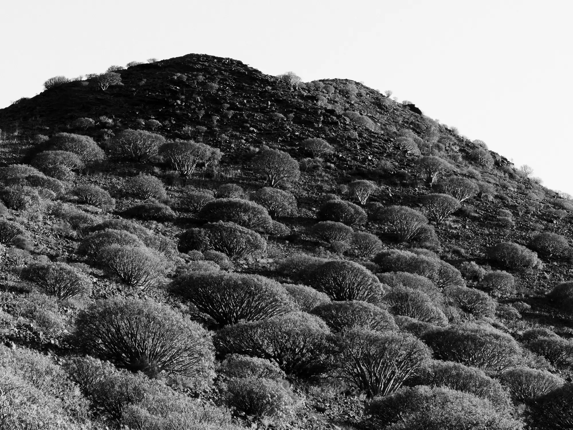 Gran Canaria, Spanien 9