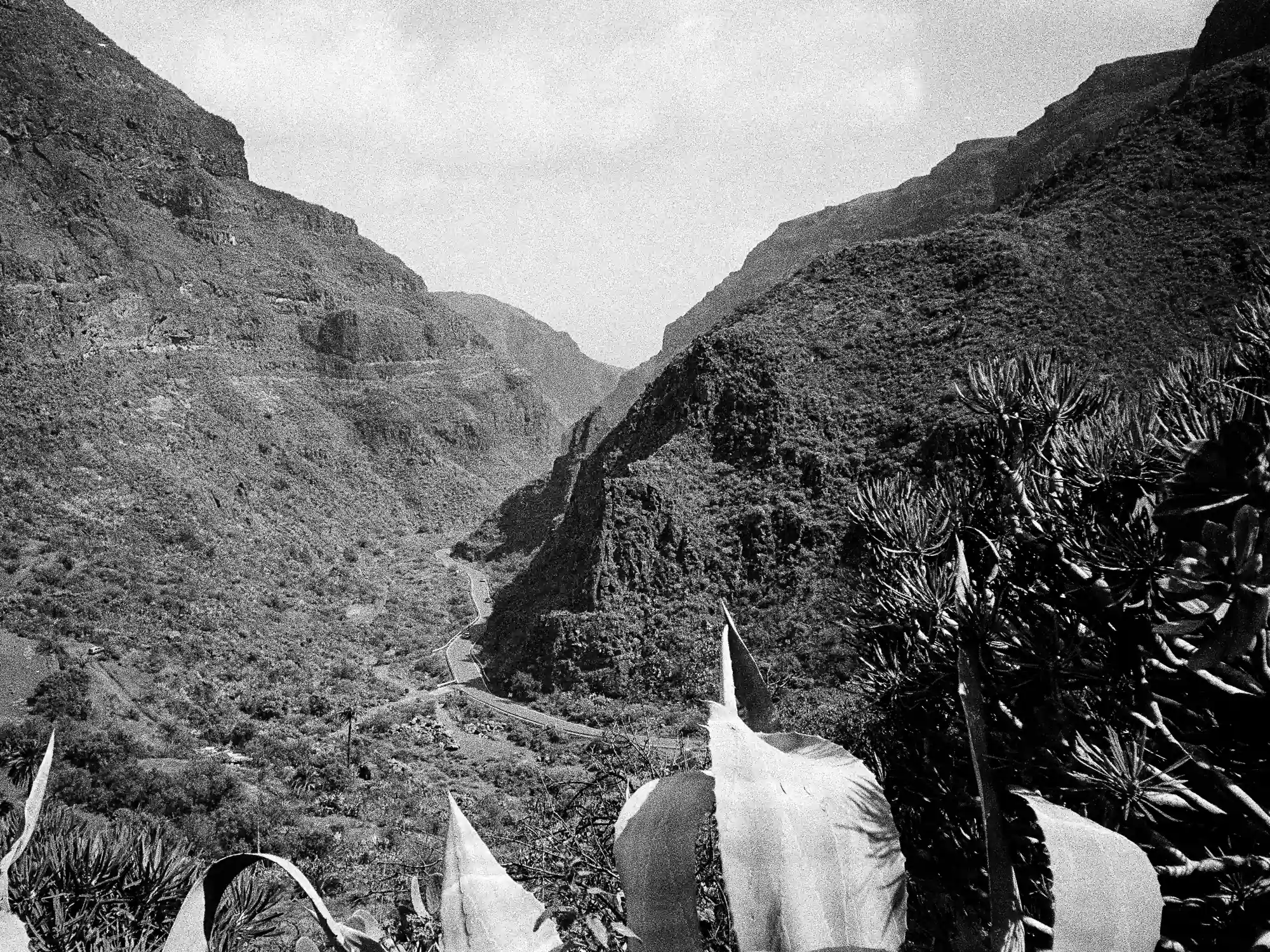 Gran Canaria, Spanien 37