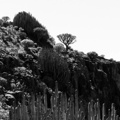 Gran Canaria, Spain 3