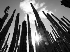 Gran Canaria, Spain 5