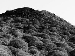 Gran Canaria, Spain 9
