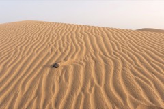 Gran Canaria, Spain 16