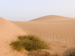 Gran Canaria, Spain 19