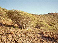 Gran Canaria, Spain 30