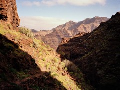 Gran Canaria, Spain 31