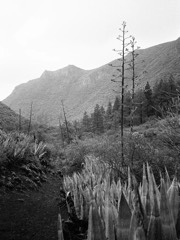 Gran Canaria, Spain 36