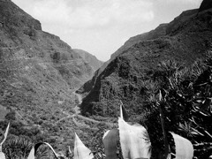 Gran Canaria, Spain 37