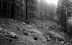 Gran Canaria, Spain 38