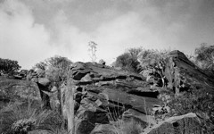 Gran Canaria, Spain 40