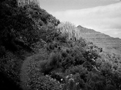 Gran Canaria, Spain 51