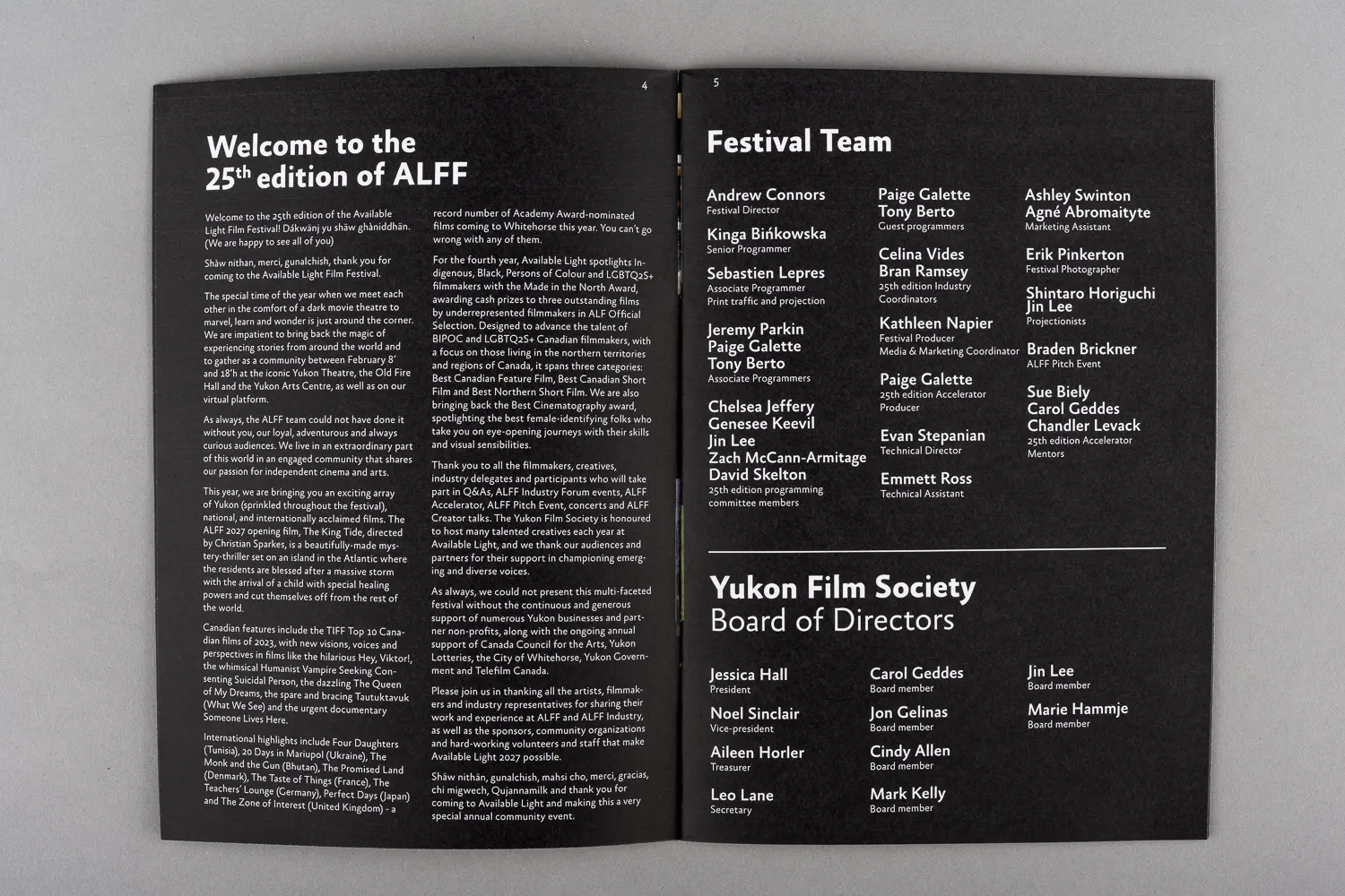 Flexible Festival Identity (Concept) 10