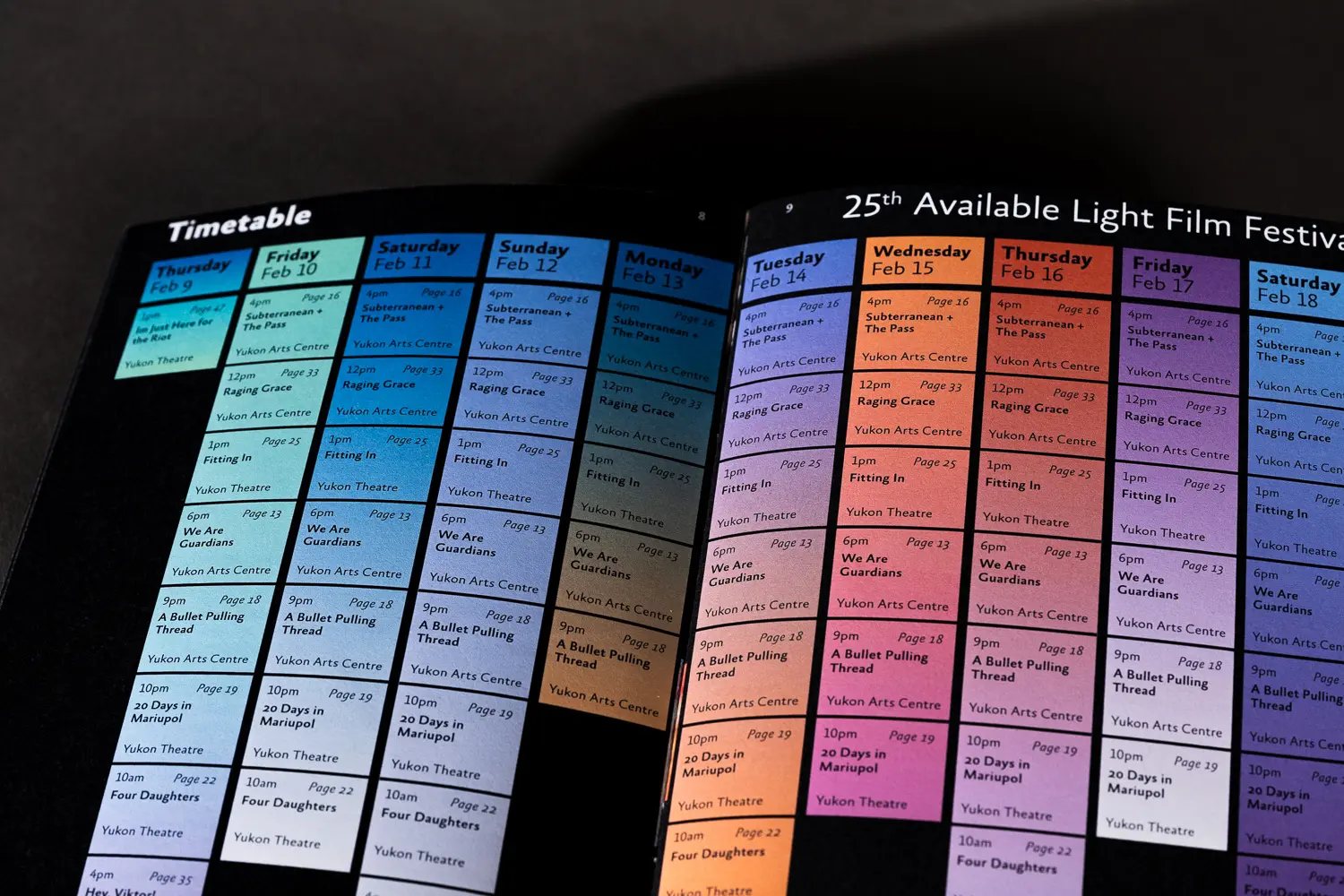 Flexible Festival Identity (Concept) 8