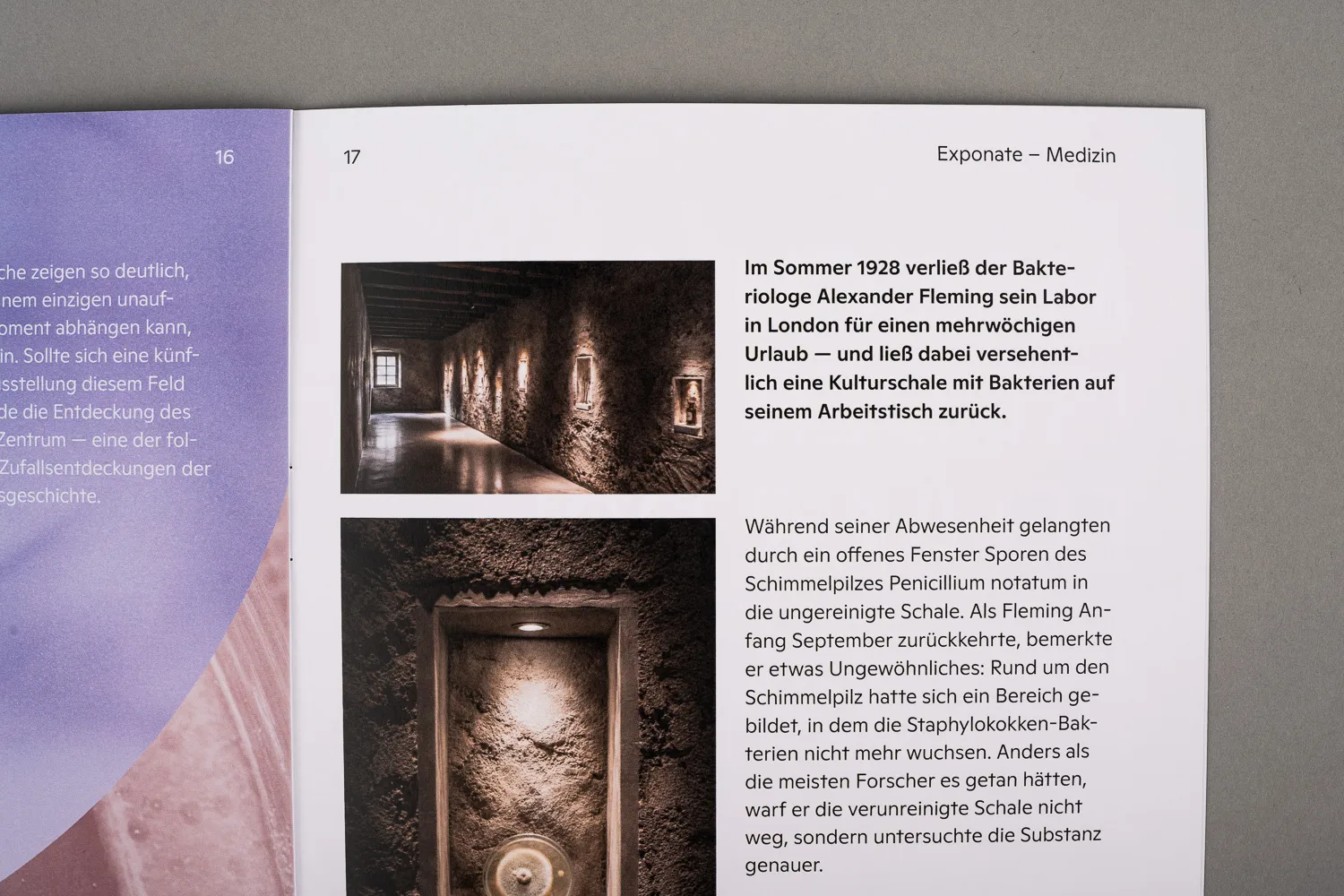Museum Visual Identity (Concept) 6