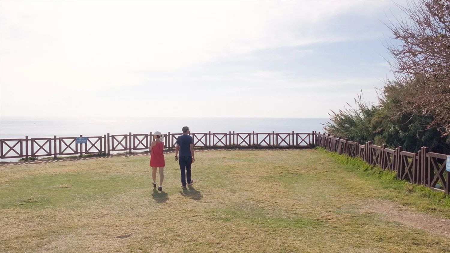 Film – Pulse 4